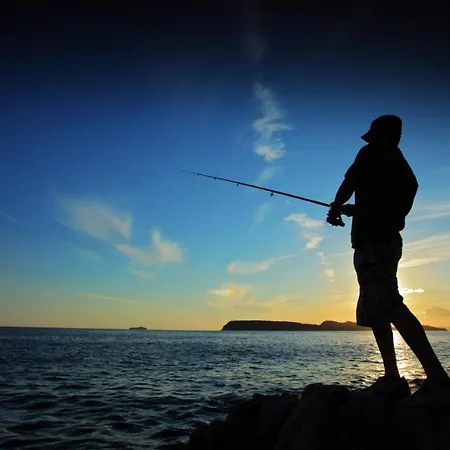 In With Balcony, Air Conditioning, Wifi, Washing Machine 4834-1 Ždrelac